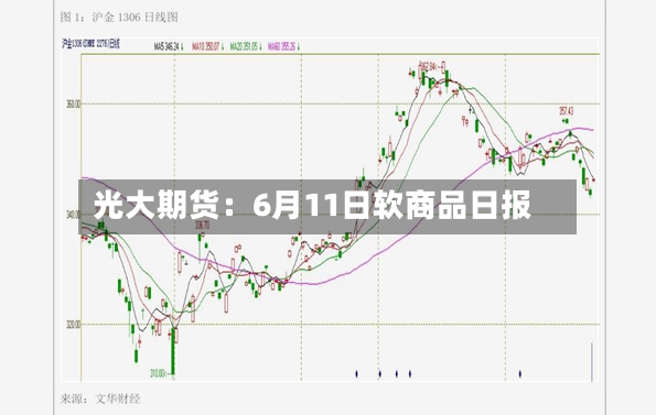 光大期货:6月11日软商品日报-第2张图片
