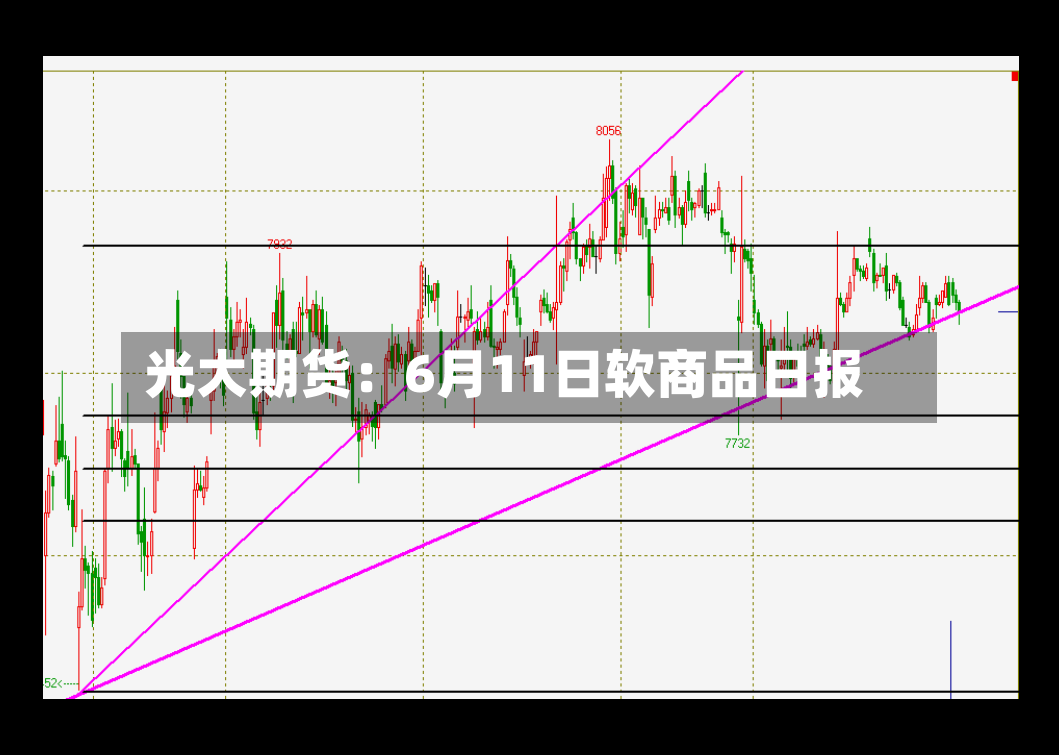 光大期货：6月11日软商品日报