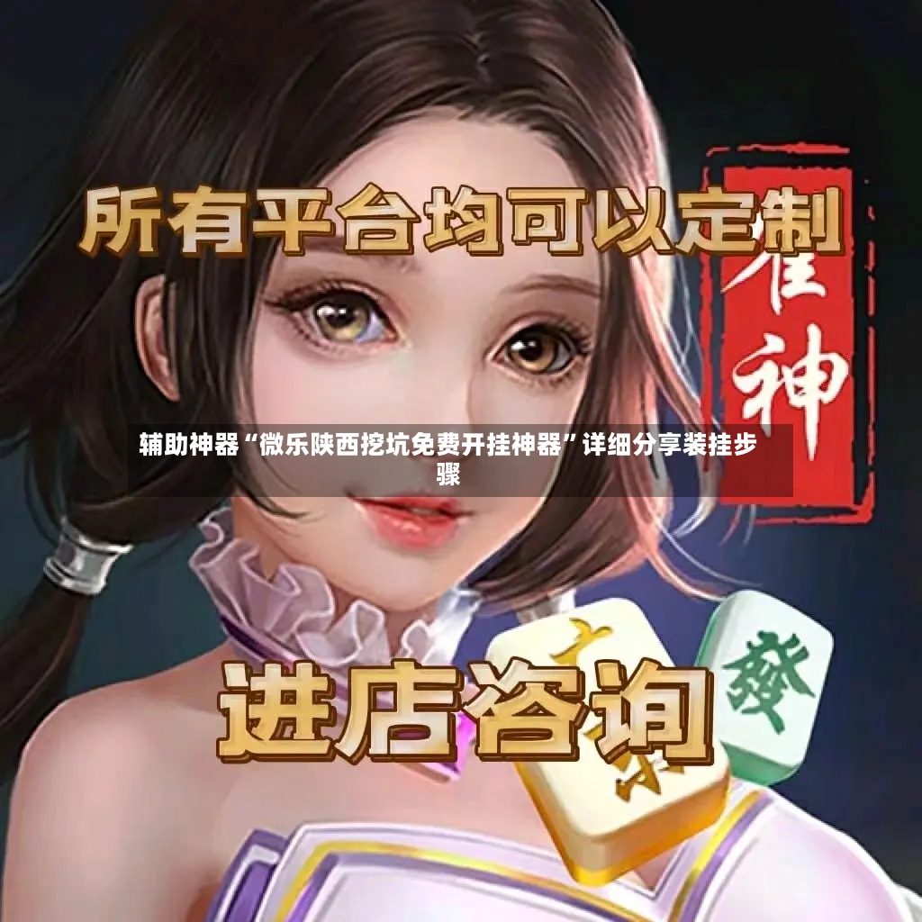 辅助神器“微乐陕西挖坑免费开挂神器”详细分享装挂步骤-第2张图片