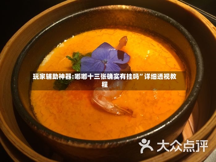 玩家辅助神器:嘟嘟十三张确实有挂吗	”详细透视教程-第2张图片