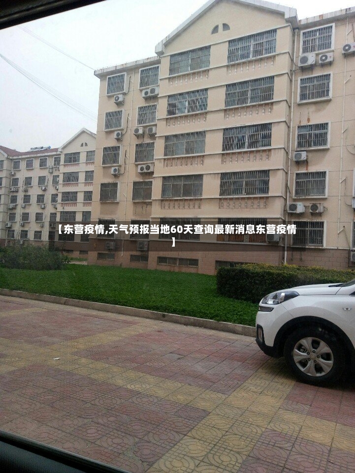 【东营疫情,天气预报当地60天查询最新消息东营疫情】-第2张图片