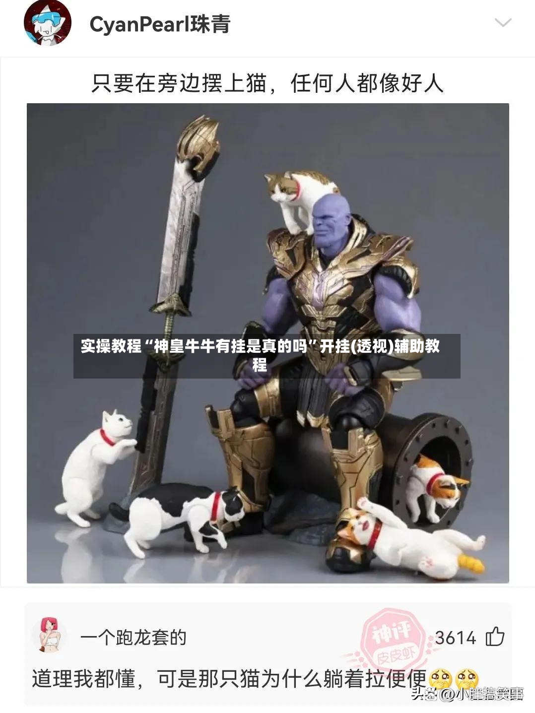 实操教程“神皇牛牛有挂是真的吗”开挂(透视)辅助教程-第2张图片