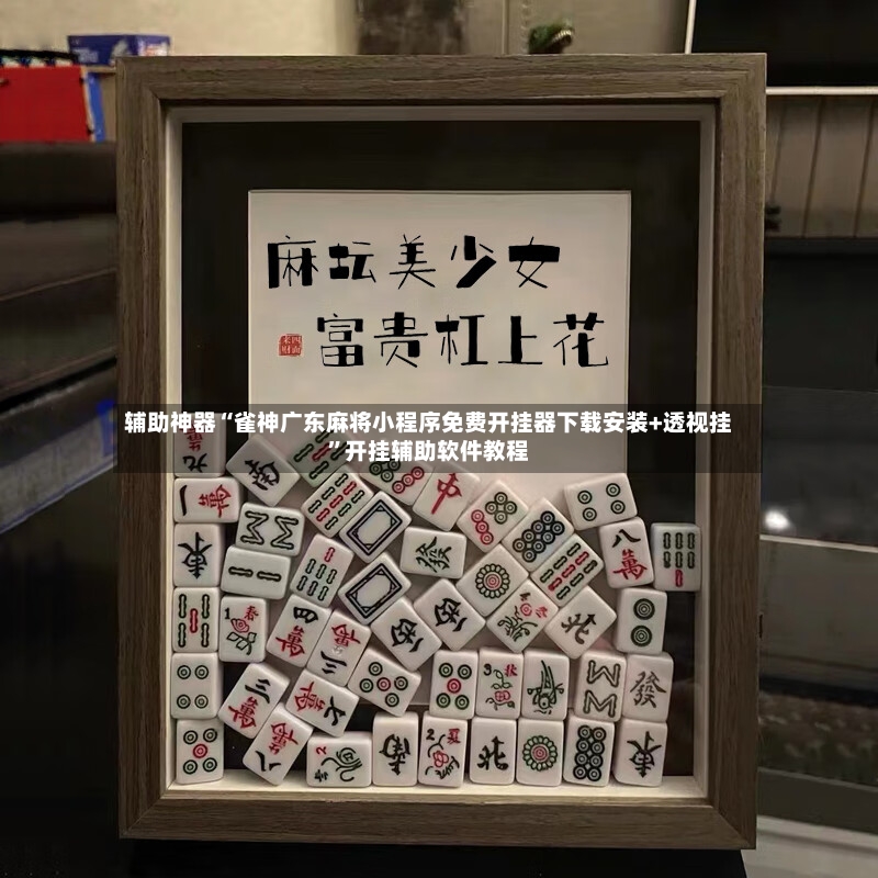 辅助神器“雀神广东麻将小程序免费开挂器下载安装+透视挂”开挂辅助软件教程-第3张图片