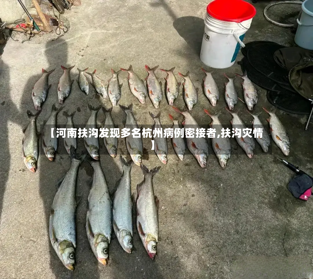 【河南扶沟发现多名杭州病例密接者,扶沟灾情】
