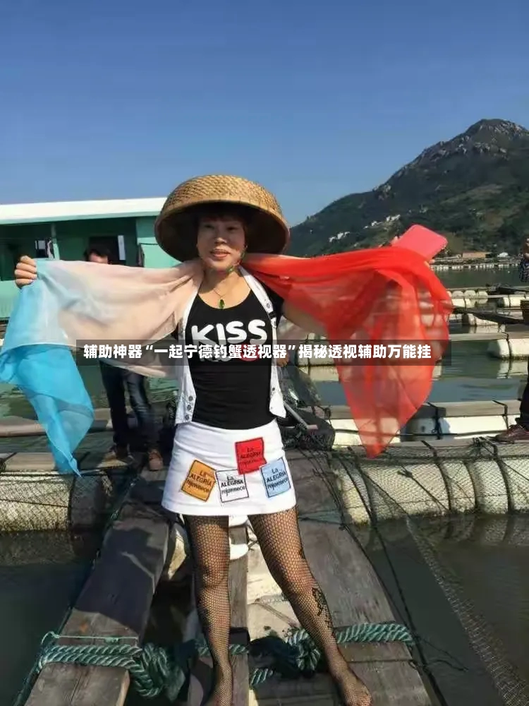 辅助神器“一起宁德钓蟹透视器”揭秘透视辅助万能挂