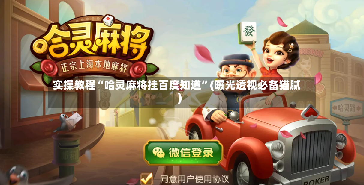 实操教程“哈灵麻将挂百度知道	”(曝光透视必备猫腻)-第2张图片