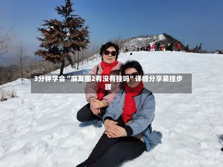 3分钟学会“麻友圈2有没有挂吗	”详细分享装挂步骤-第2张图片