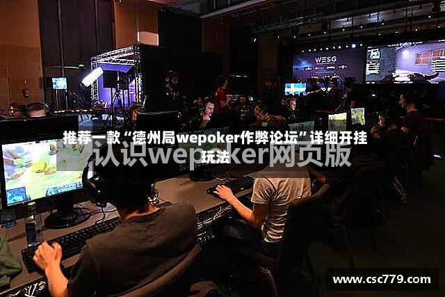 推荐一款“德州局wepoker作弊论坛”详细开挂玩法-第2张图片