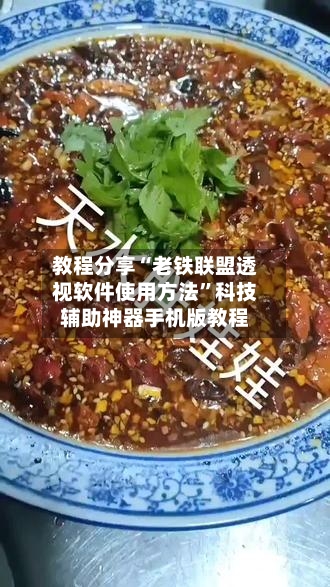 教程分享“老铁联盟透视软件使用方法	”科技辅助神器手机版教程-第2张图片