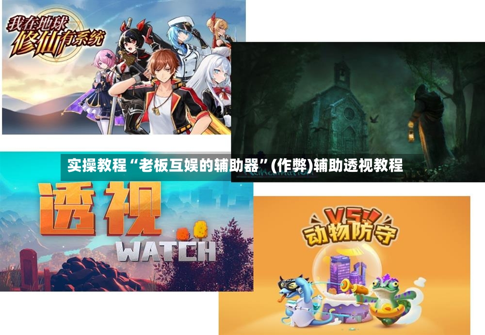 实操教程“老板互娱的辅助器”(作弊)辅助透视教程-第3张图片
