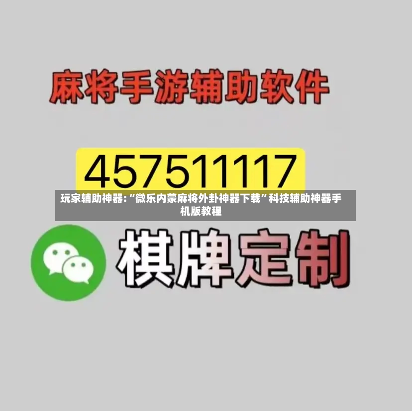 玩家辅助神器:“微乐内蒙麻将外卦神器下载	”科技辅助神器手机版教程-第2张图片