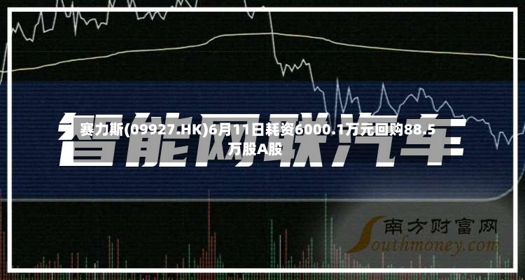 赛力斯(09927.HK)6月11日耗资6000.1万元回购88.5万股A股