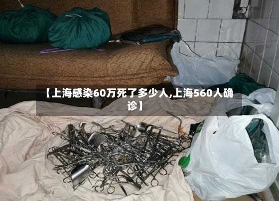 【上海感染60万死了多少人,上海560人确诊】-第2张图片
