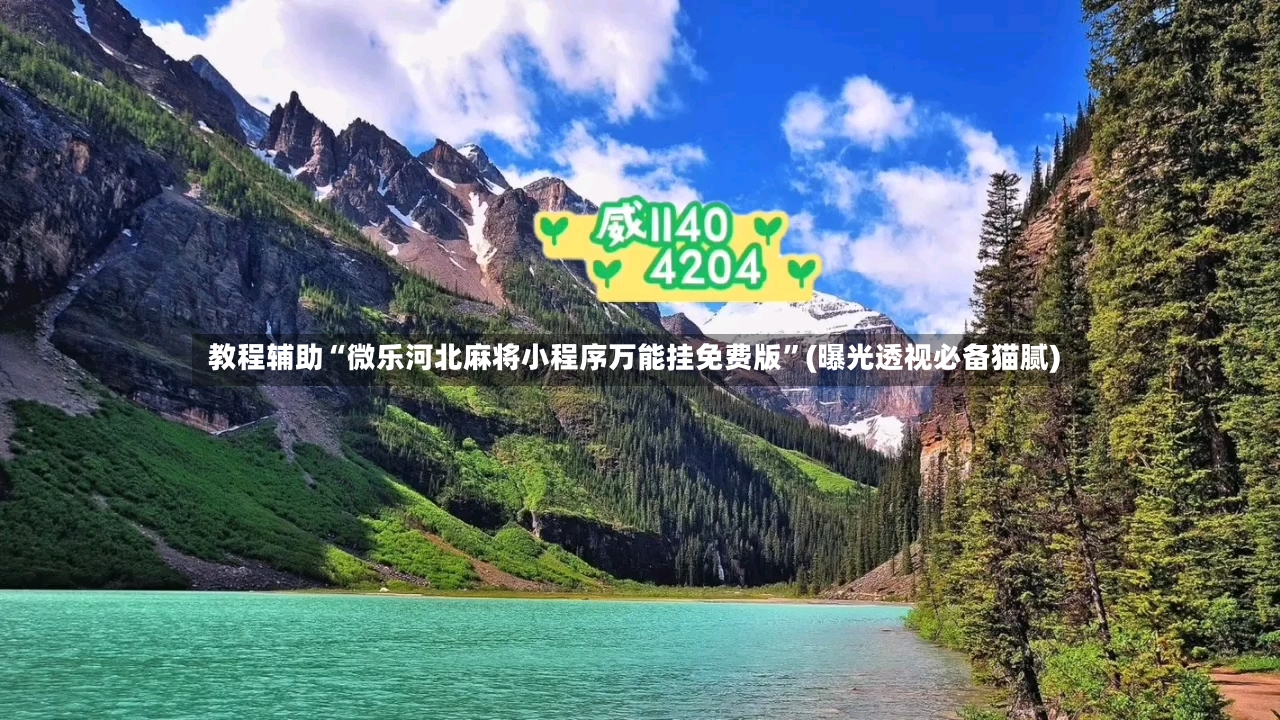 教程辅助“微乐河北麻将小程序万能挂免费版”(曝光透视必备猫腻)-第3张图片