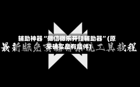 辅助神器“微信微乐开挂辅助器”(原来确实是有插件)