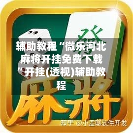 辅助教程“微乐河北麻将开挂免费下载	”开挂(透视)辅助教程-第2张图片