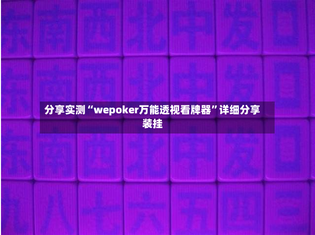 分享实测“wepoker万能透视看牌器	”详细分享装挂-第3张图片