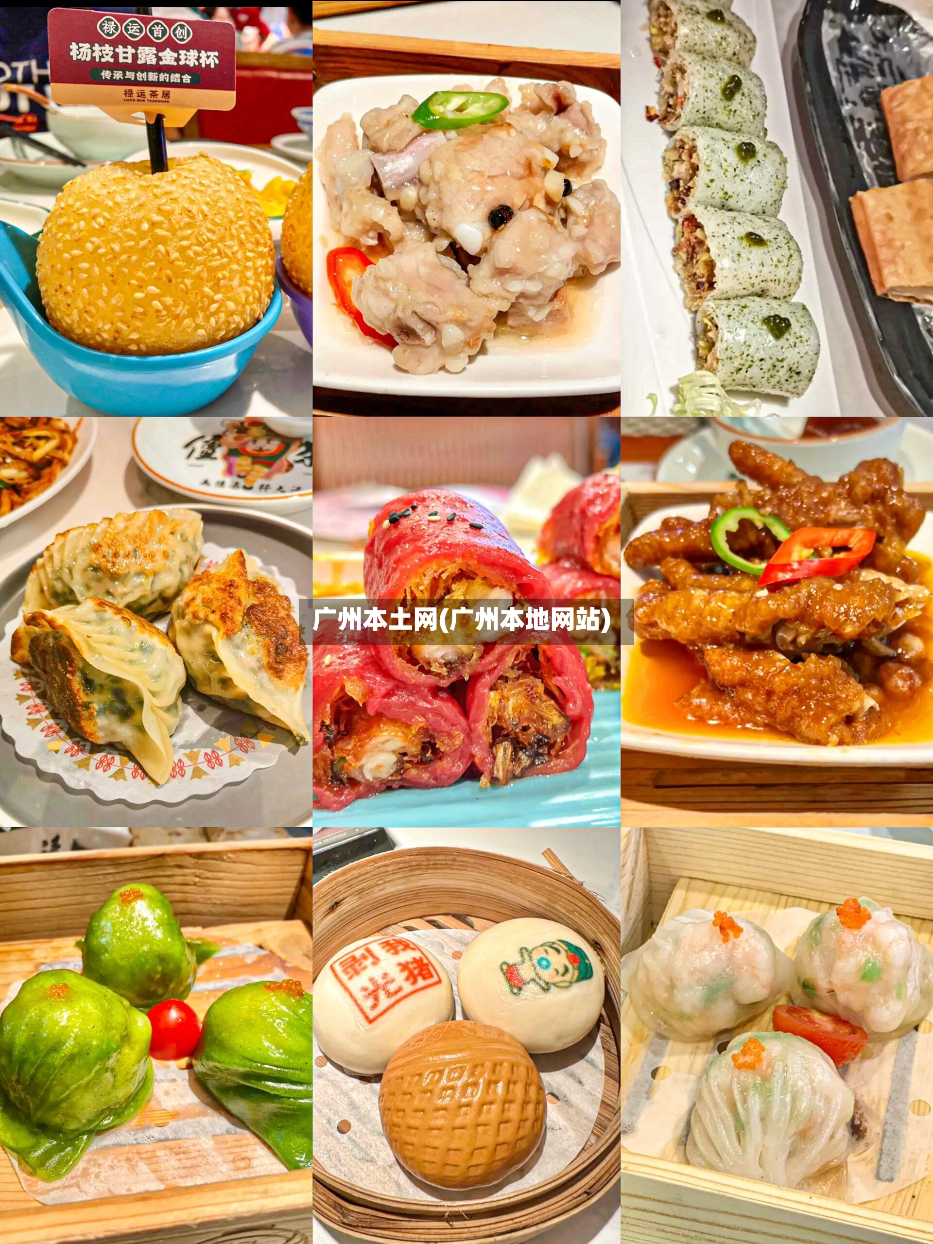 广州本土网(广州本地网站)-第2张图片