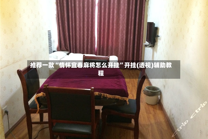 推荐一款“情怀宜春麻将怎么开挂	”开挂(透视)辅助教程-第3张图片