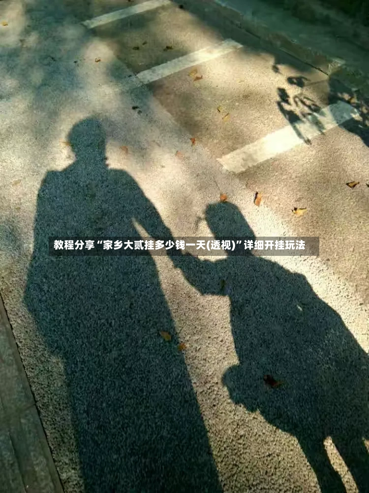 教程分享“家乡大贰挂多少钱一天(透视)	”详细开挂玩法-第3张图片