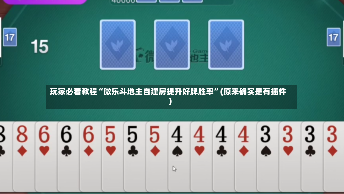 玩家必看教程“微乐斗地主自建房提升好牌胜率”(原来确实是有插件)