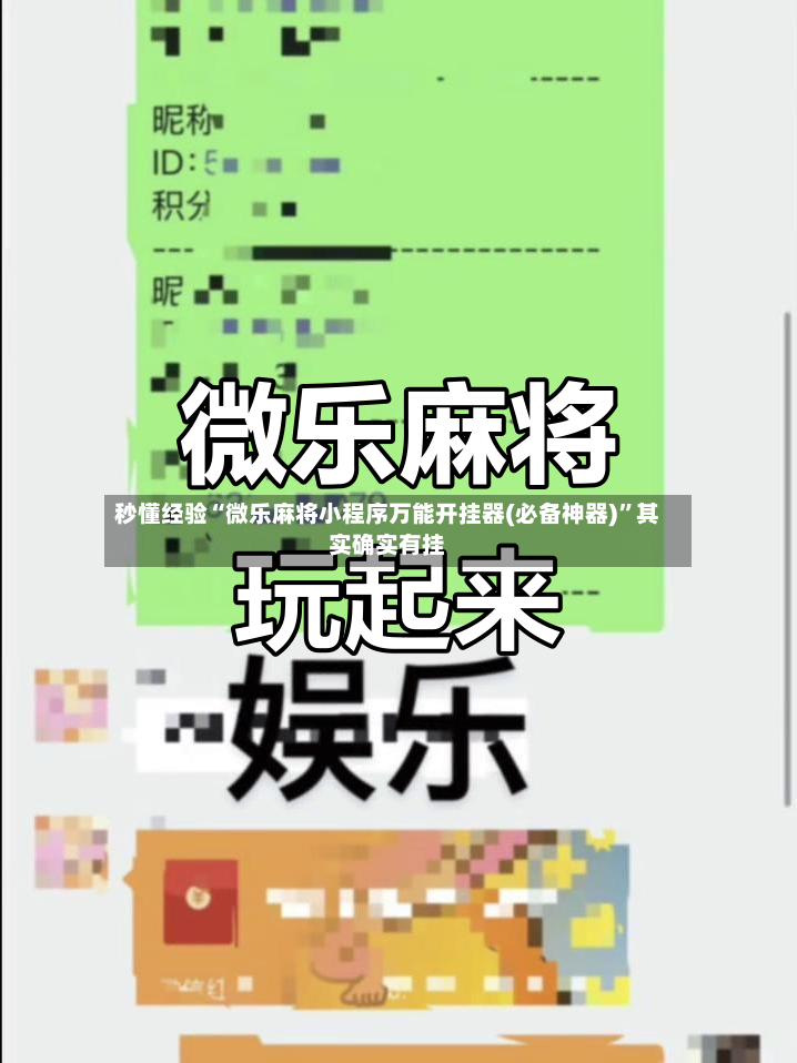 秒懂经验“微乐麻将小程序万能开挂器(必备神器)	”其实确实有挂-第2张图片