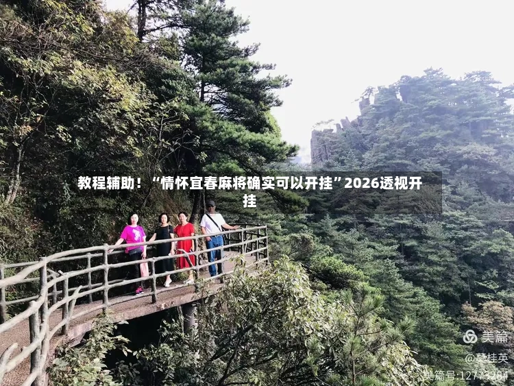教程辅助！“情怀宜春麻将确实可以开挂”2026透视开挂-第3张图片