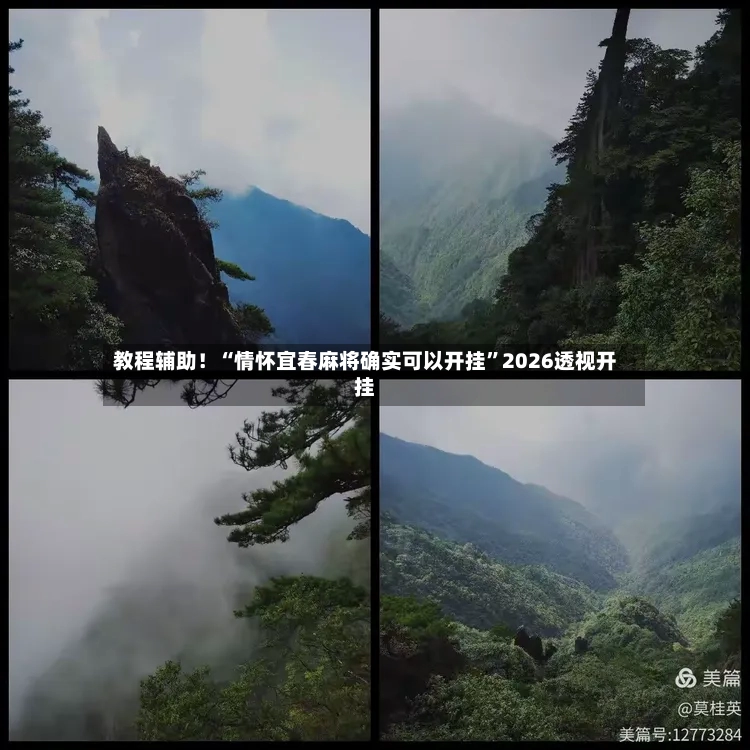 教程辅助！“情怀宜春麻将确实可以开挂	”2026透视开挂-第2张图片