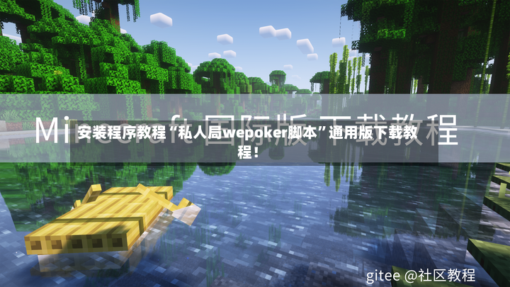 安装程序教程“私人局wepoker脚本”通用版下载教程！-第2张图片