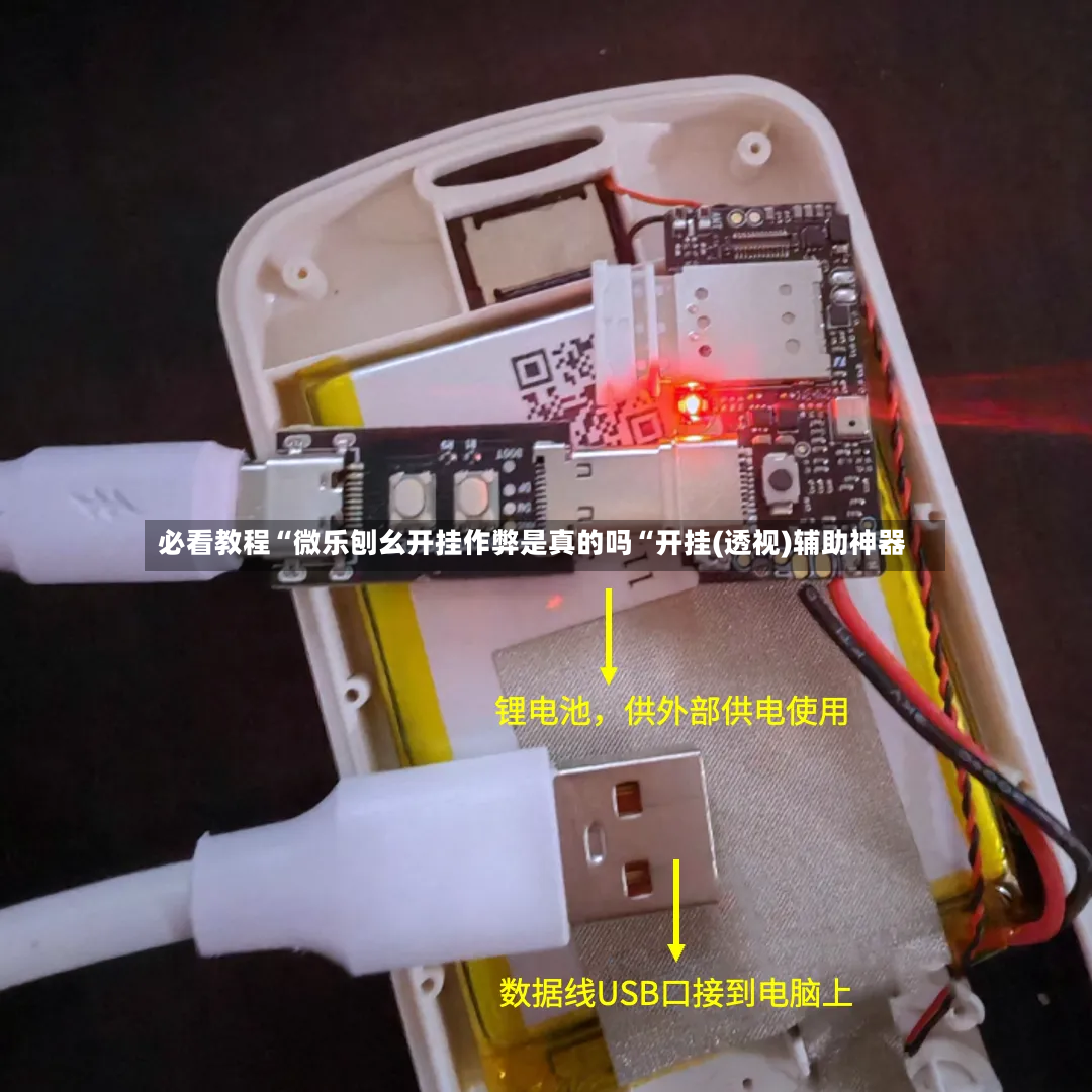 必看教程“微乐刨幺开挂作弊是真的吗“开挂(透视)辅助神器