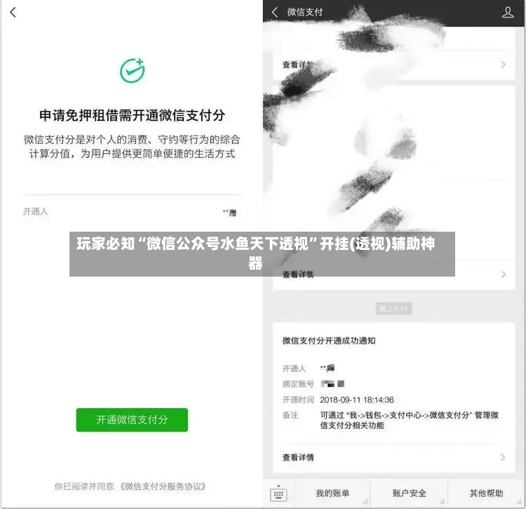 玩家必知“微信公众号水鱼天下透视	”开挂(透视)辅助神器-第2张图片