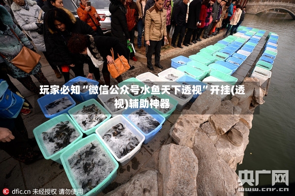 玩家必知“微信公众号水鱼天下透视”开挂(透视)辅助神器