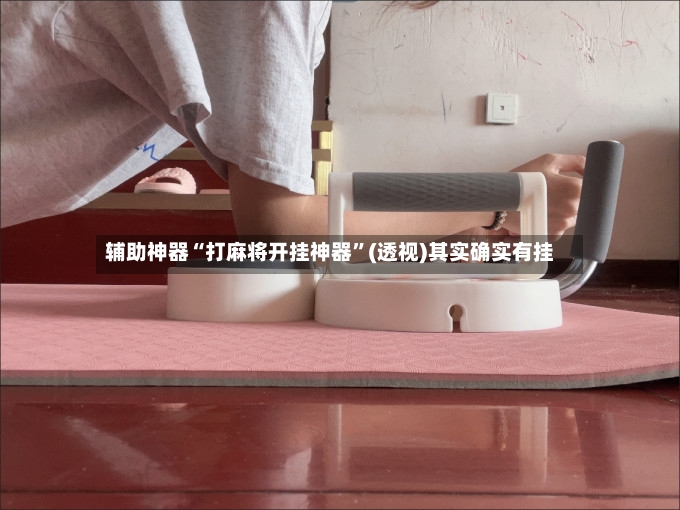 辅助神器“打麻将开挂神器”(透视)其实确实有挂-第2张图片