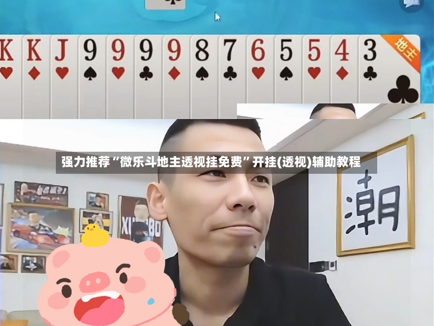 强力推荐“微乐斗地主透视挂免费”开挂(透视)辅助教程-第3张图片