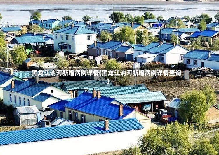 黑龙江讷河新增病例详情(黑龙江讷河新增病例详情查询)