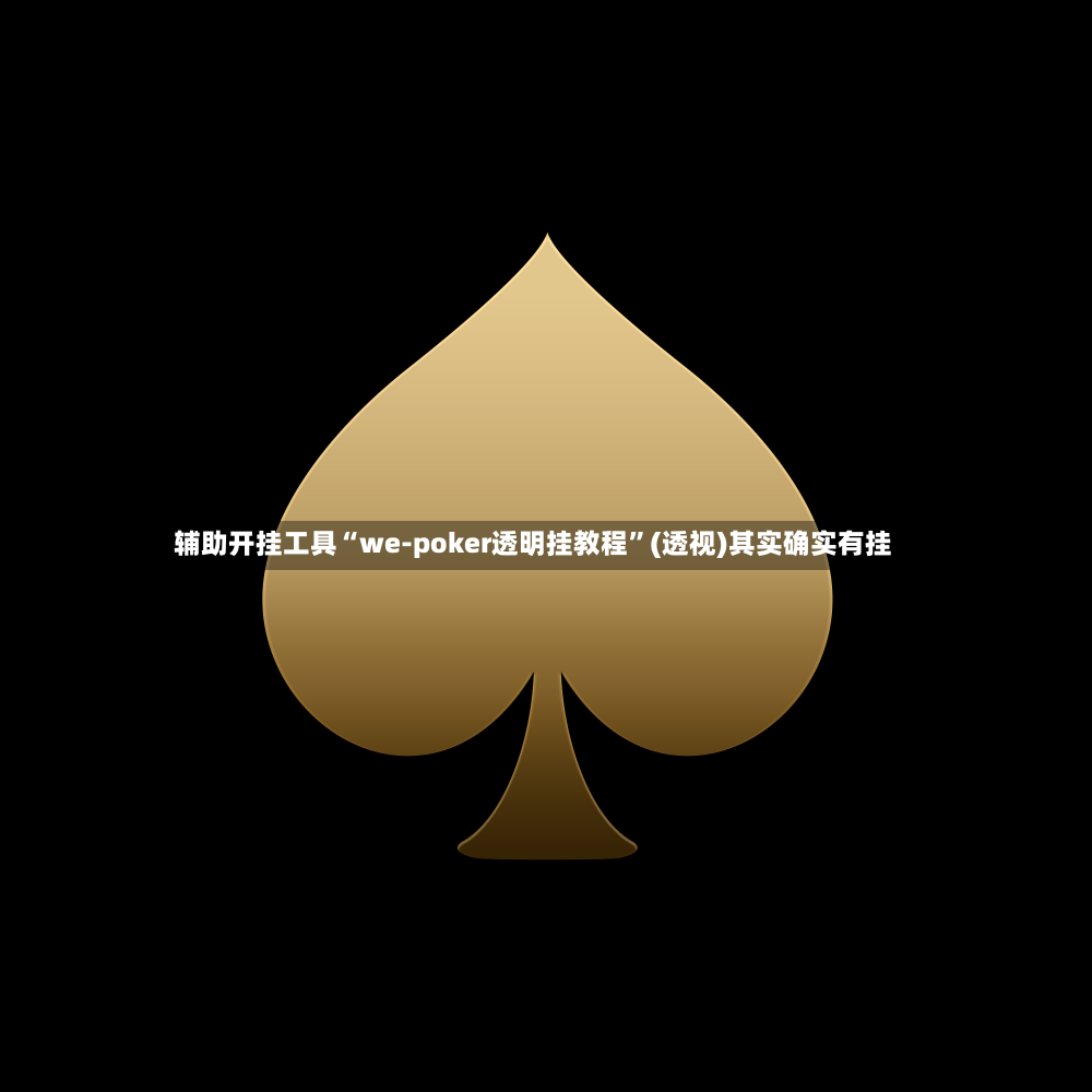 辅助开挂工具“we-poker透明挂教程”(透视)其实确实有挂-第2张图片