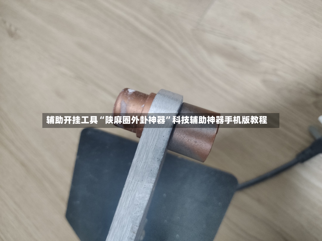 辅助开挂工具“陕麻圈外卦神器”科技辅助神器手机版教程-第3张图片