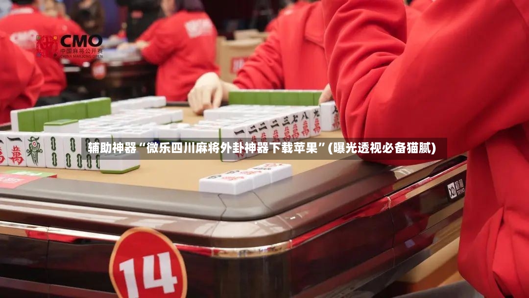 辅助神器“微乐四川麻将外卦神器下载苹果	”(曝光透视必备猫腻)-第2张图片