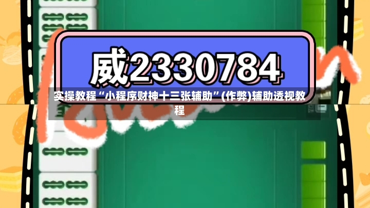 实操教程“小程序财神十三张辅助”(作弊)辅助透视教程-第3张图片