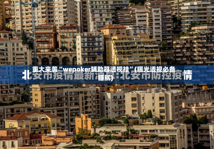 重大来袭“wepoker辅助器透视挂”(曝光透视必备猫腻)-第3张图片