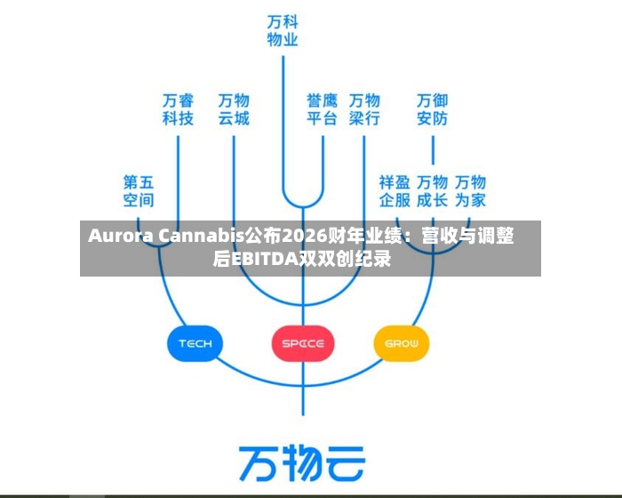 Aurora Cannabis公布2026财年业绩:营收与调整后EBITDA双双创纪录-第2张图片