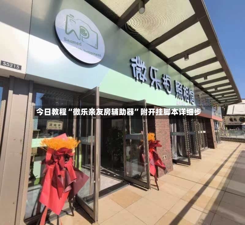 今日教程“微乐亲友房辅助器	”附开挂脚本详细步-第2张图片