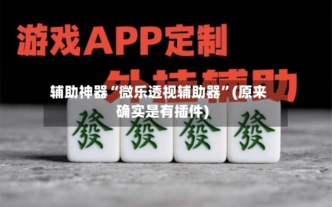 辅助神器“微乐透视辅助器”(原来确实是有插件)-第3张图片