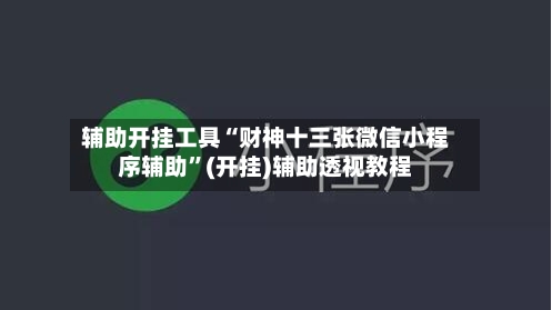 辅助开挂工具“财神十三张微信小程序辅助”(开挂)辅助透视教程-第2张图片