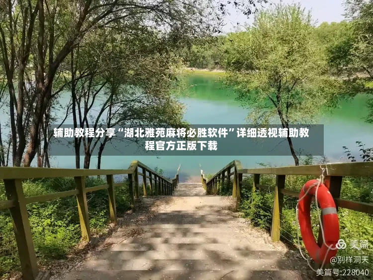 辅助教程分享“湖北雅苑麻将必胜软件”详细透视辅助教程官方正版下载-第3张图片