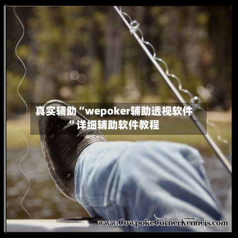 真实辅助“wepoker辅助透视软件	”详细辅助软件教程-第2张图片