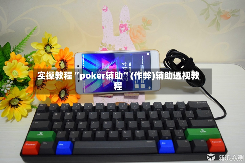实操教程“poker辅助”(作弊)辅助透视教程-第2张图片