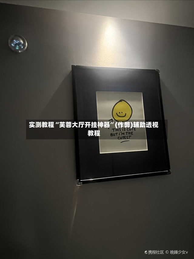 实测教程“芙蓉大厅开挂神器”(作弊)辅助透视教程-第3张图片