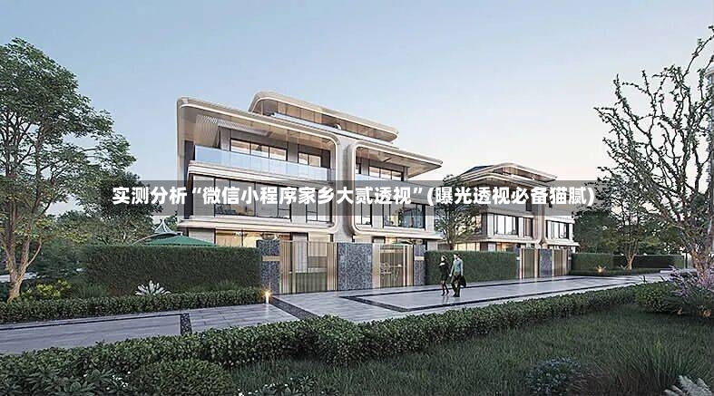 实测分析“微信小程序家乡大贰透视”(曝光透视必备猫腻)
