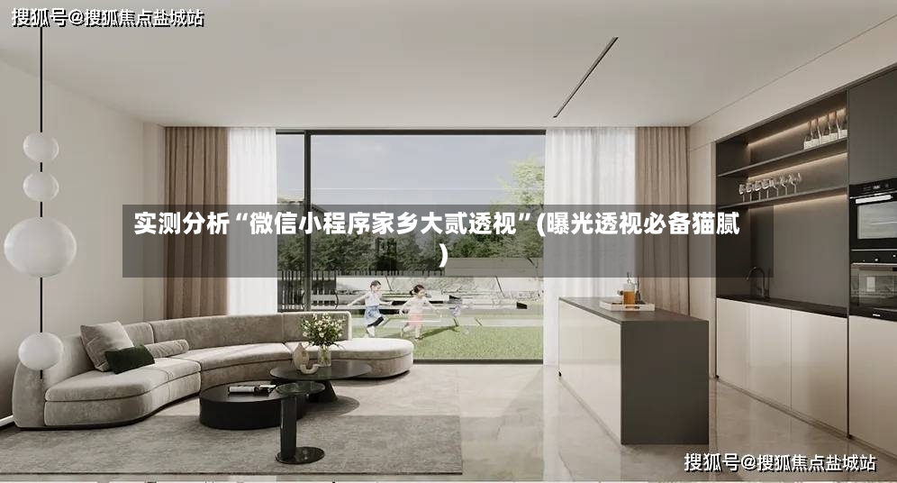 实测分析“微信小程序家乡大贰透视”(曝光透视必备猫腻)-第2张图片